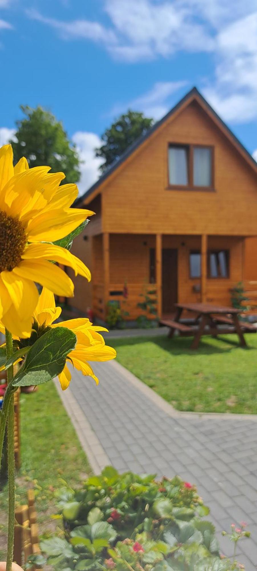 Sloneczne Domki Pustkowo, 1 Minuta Do Plazy, Buitenkant foto